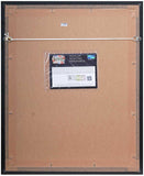 Harry Brook Signed Mini Bat Display Framed Cricket Memorabilia COA