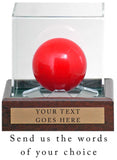 Snooker Display Case 10x10x10cm with Custom Plaque with words of your choice**