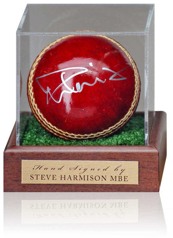 Steve Harmison England Ashes Cricket Legend Hand Signed Cricket Ball Display COA