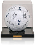 Tottenham Hotspur 2013/14 Squad Hand Signed Football Club COA