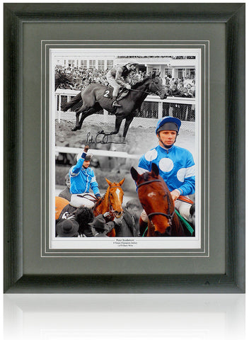 Peter Scudamore Hand Signed Horse Racing Legend 16x12'' Montage AFTAL COA